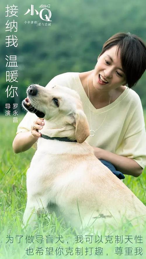 阿纳姆大学和奈梅亨大学 Art diploma